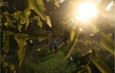 photo-20