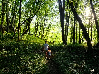 photo-3