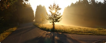 photo-4