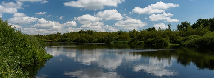 photo-7