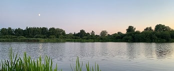 photo-8
