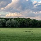 photo-desc-1